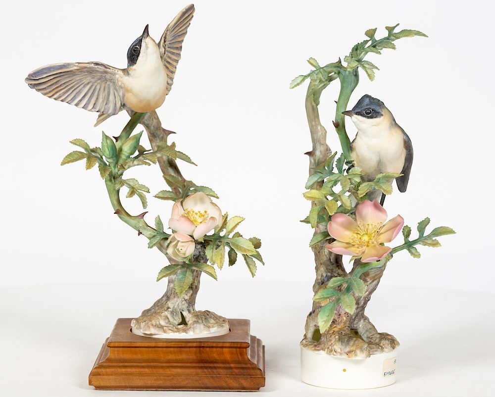 Pair, Doughty Lesser White Throats with One Box/Auctiondaily