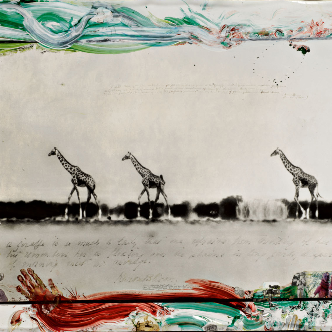 Contemporary Photographs