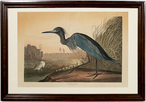 John James Audubon "Blue Crane Or Heron" Havell