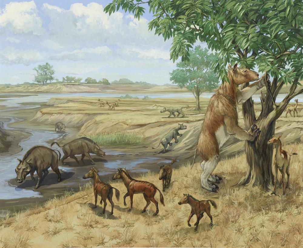 Michael Rothman 20th-21st Century Miocene Era habitat group