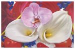 MARC QUINN