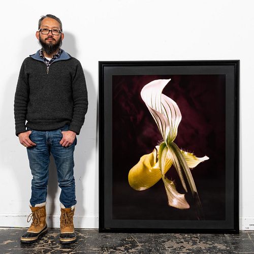 ROBERT THIEN, ORCHID II STILL LIFE PHOTOGRAPH