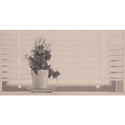 20TH C STILL LIFE DRAWING OF FLOWERS