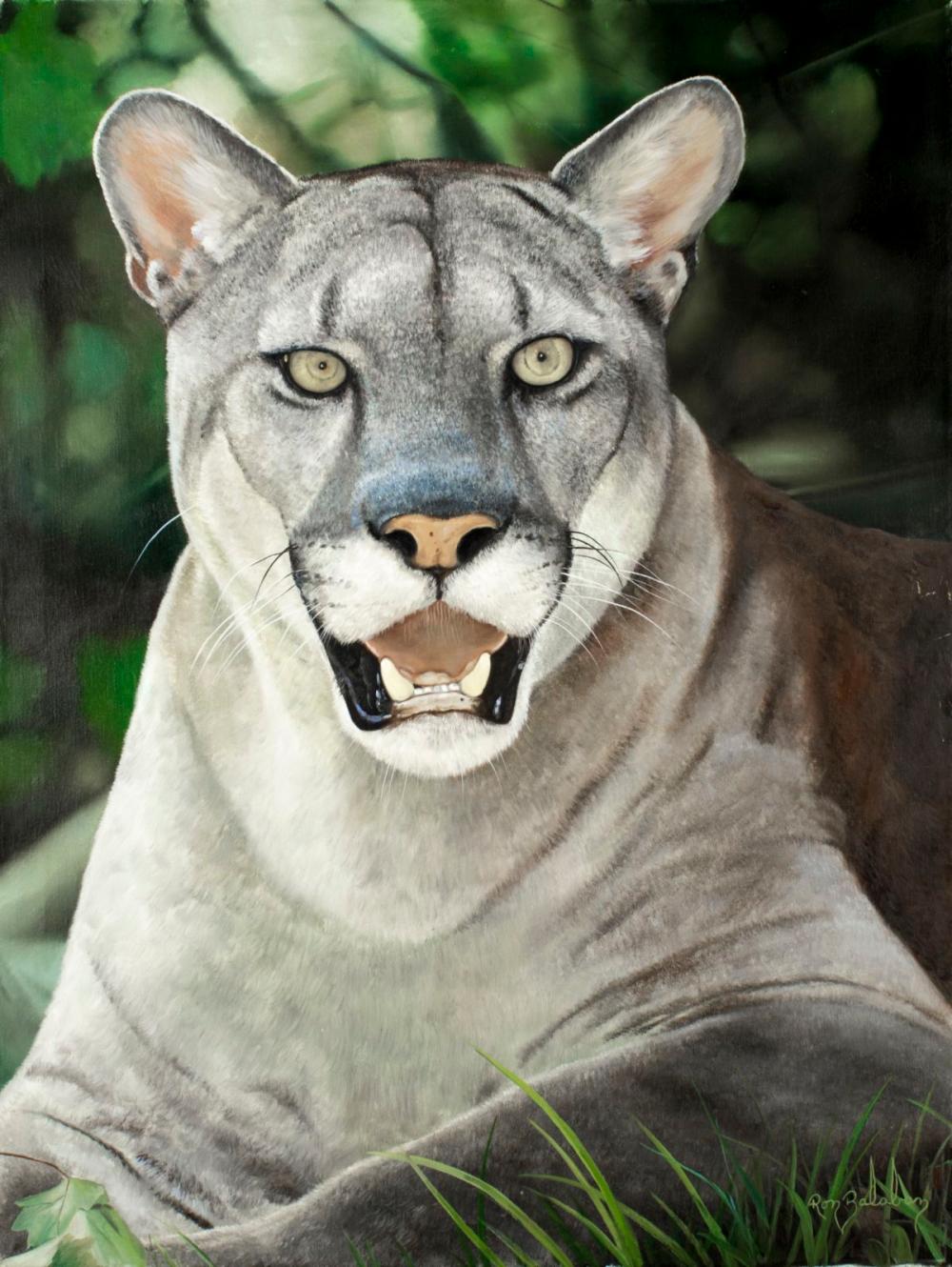 Ron Balaban (american,20C) oil painting