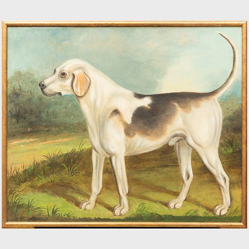 European School- Portrait of a Pointer
