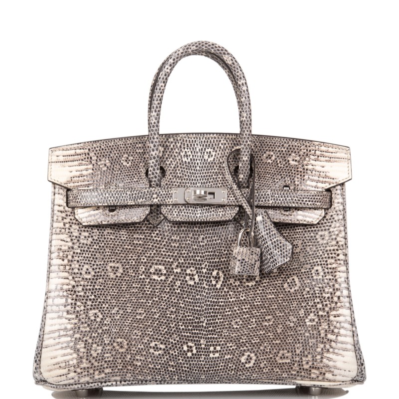 Hermès Ombre Birkin 25cm of Varanus Salvator Lizard with Palladium Hardware