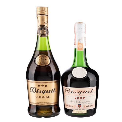 Bisquit. V.S.O.P. Cognac. Francia. Total de Piezas- 2