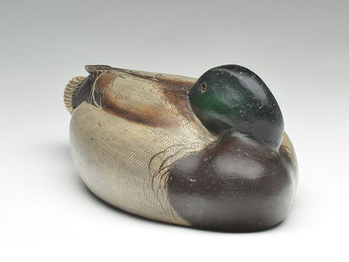 Incredibly executed working mallard drake in a tucked head resting pose, Ferdinand Homme, Stoughton, Wisconsin, circa 1930.