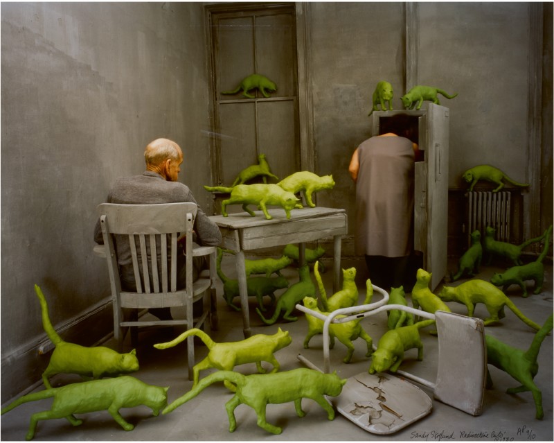 SANDY SKOGLUND -RADIOACTIVE CATS