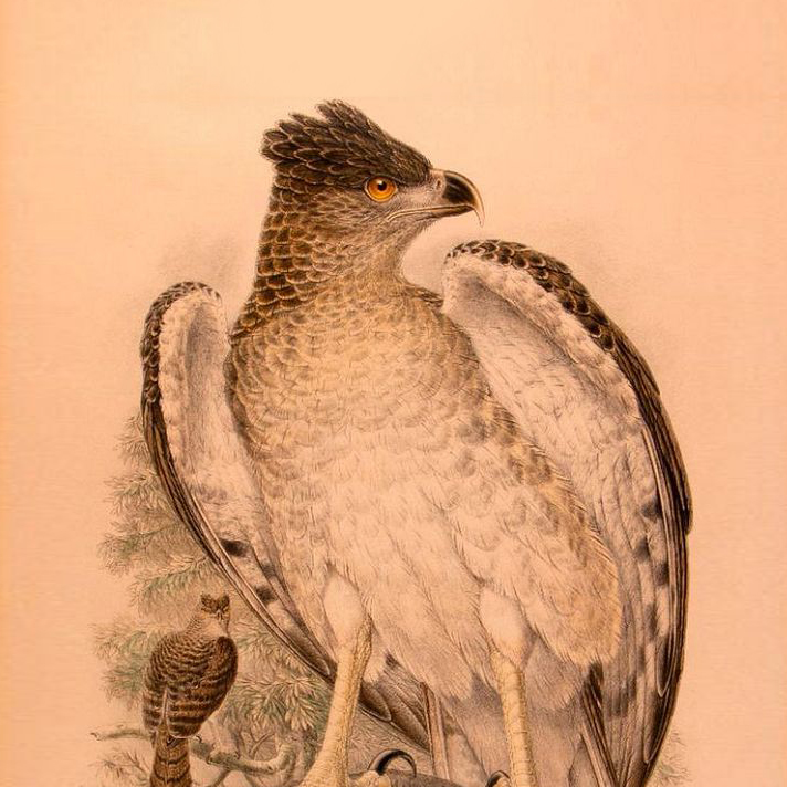 Maps, Books & Illustrations