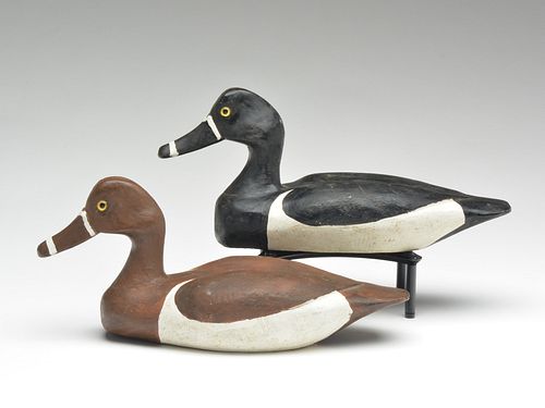 Pair of ringbills, Willie Carmadell, Des Allemandes, Louisiana.