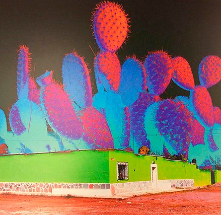 MARCEL DEL CASTILLO, Analogías orgánicas #5, Unsigned, Inkjet print