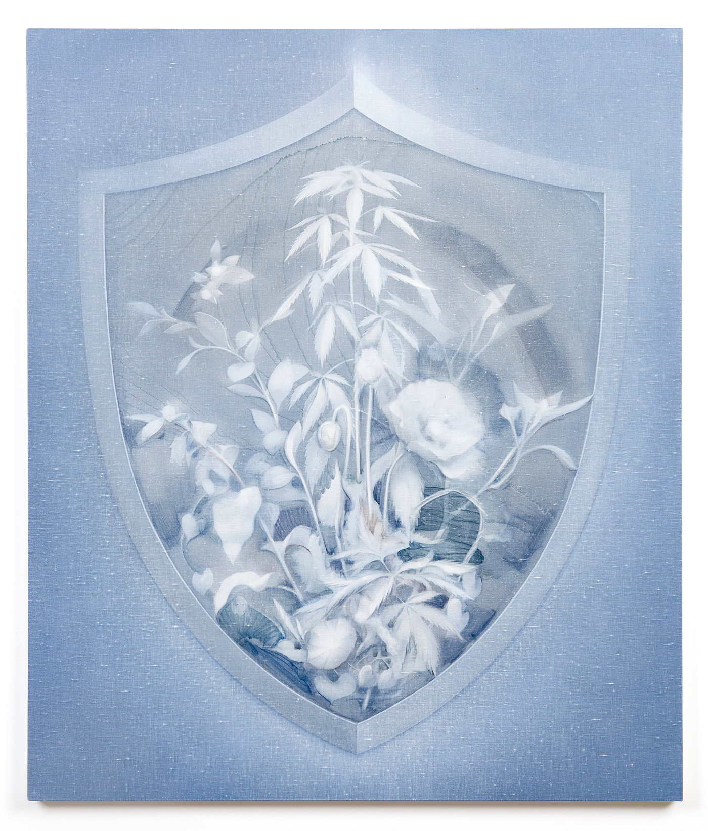Theodora Allen Shield (Dwale), 2019