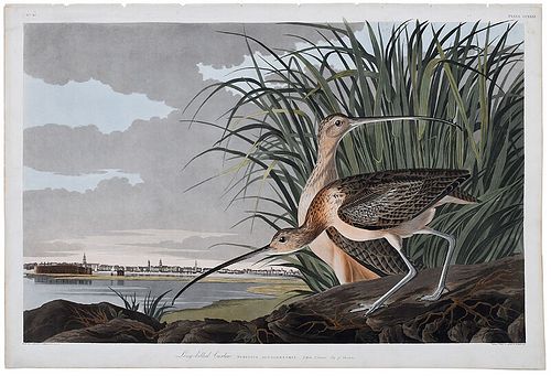 John James Audubon