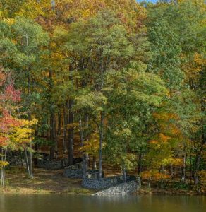 Storm King Marks 60th Anniversary with Artist-Led Online Programs and Benefit Auction