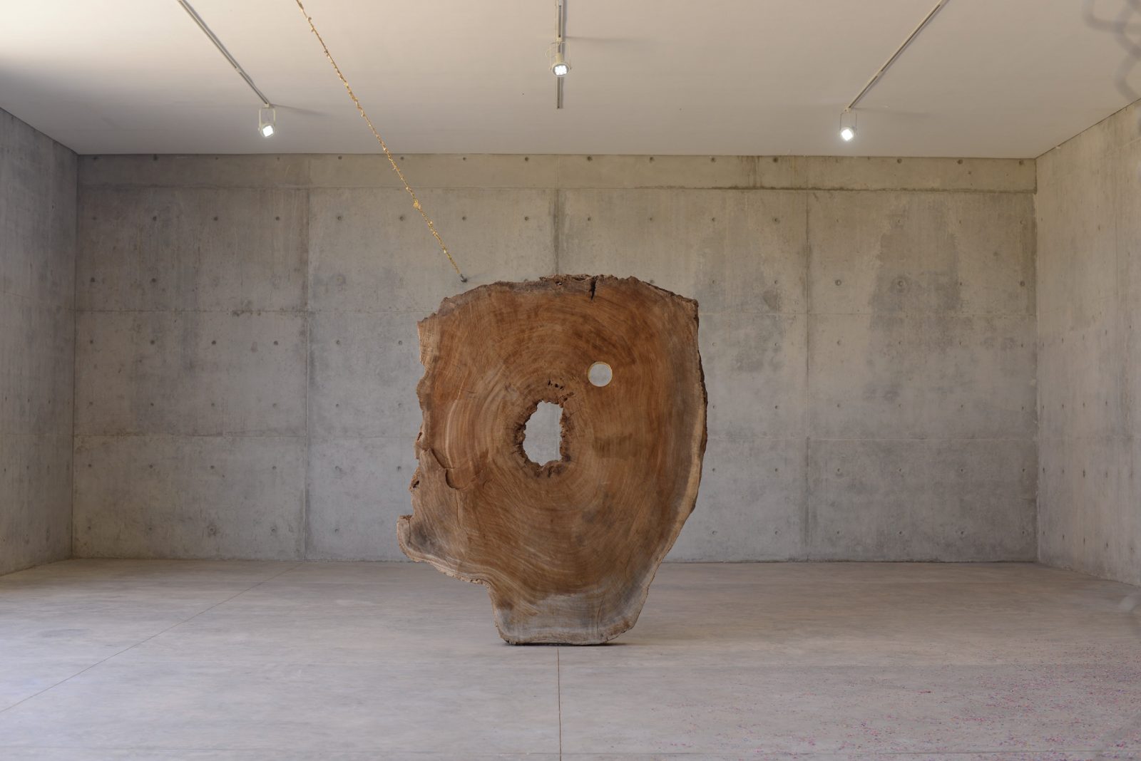 Michel François Parota Tree, 2016 Tree slice with gold leaf, 83 3/4 x 65 1/4 x 6.69 in / 213 x 166 x 17 cm