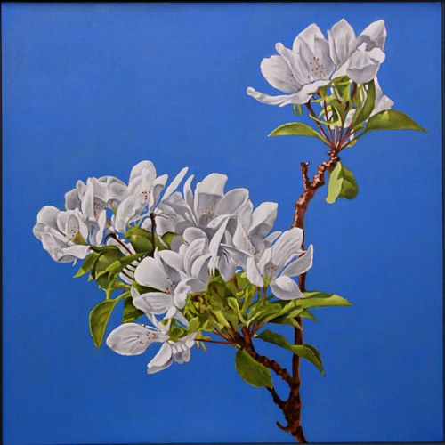 Mark Paxton, Persephone (Crabapple Series #2)