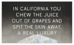 Ed Ruscha California Grape Skins
