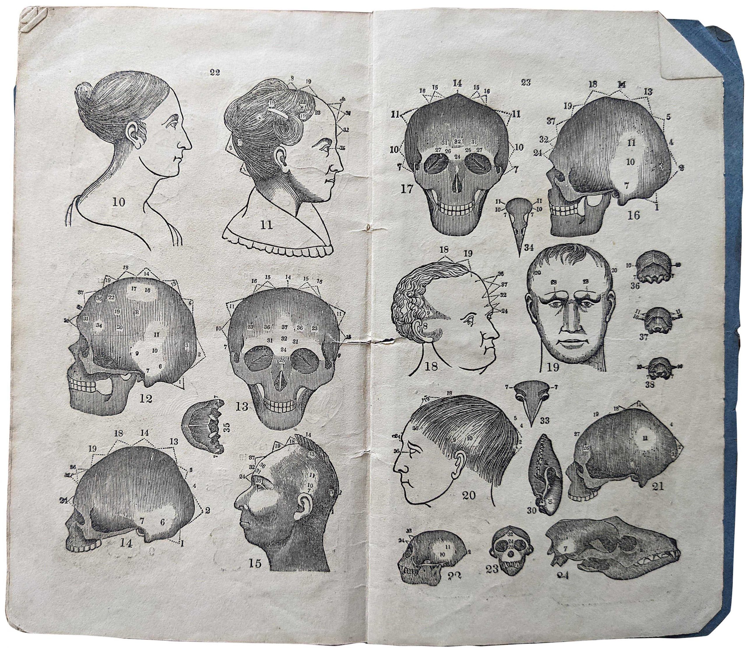 Extremely Rare Phrenology Booklet, 1838