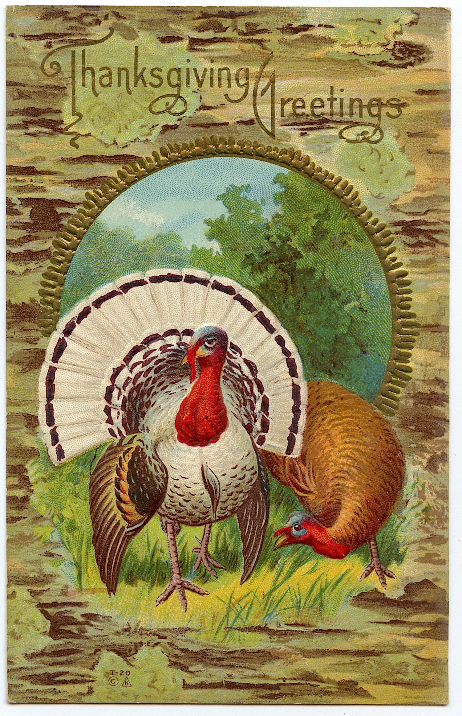 Antique Postcard Americana