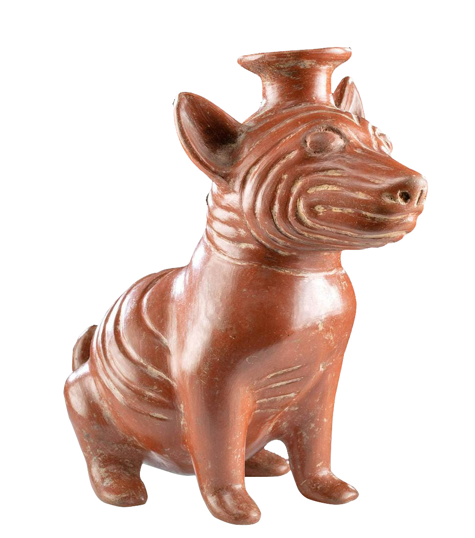 Superb Colima Redware Dog Vessel Wrinkled Body