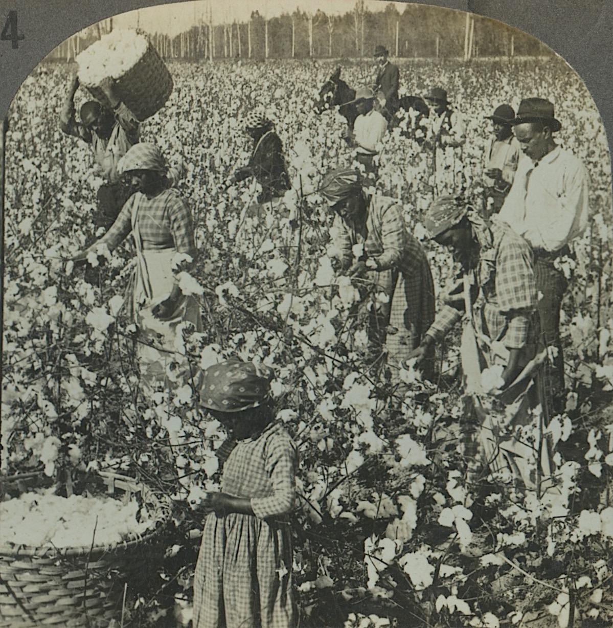 Antique Rare Real Photo Stereoview Black Americana