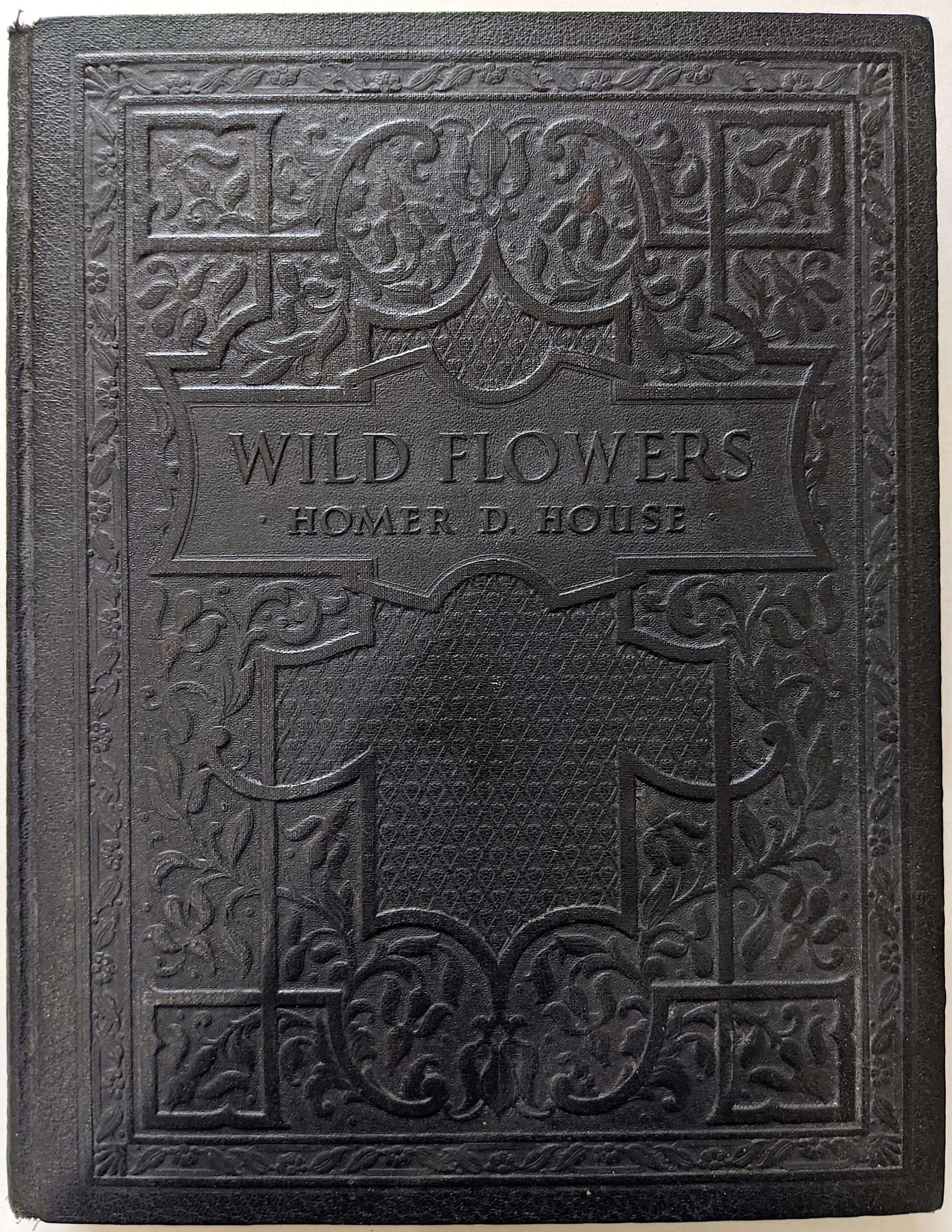 Antique Vintage Rare Book Wild Flowers, 1936