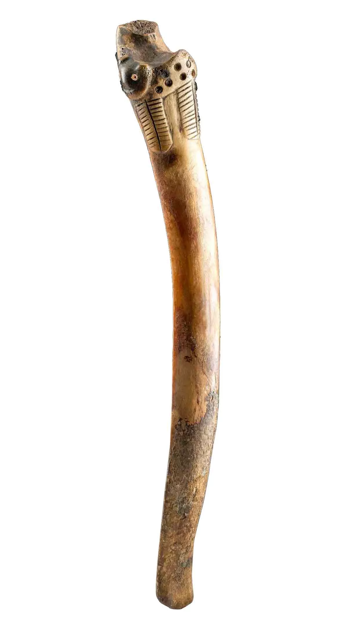 Paracas Bone Spatula / Drug Spoon w/ Spotted Jaguar
