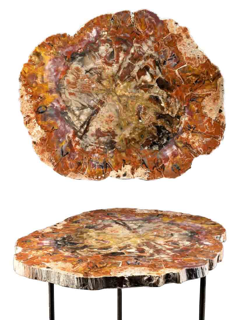 Triassic Arizonan Petrified Wood Table w/ Iron Legs