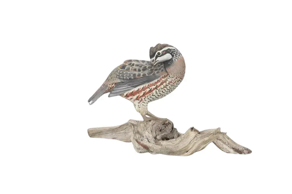 The Ward Bobwhite Quail Carving by Lemuel T. Ward (1896-1984)