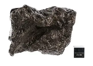 Campo del Cielo 17.2 lb. (7.80 kg) Meteorite