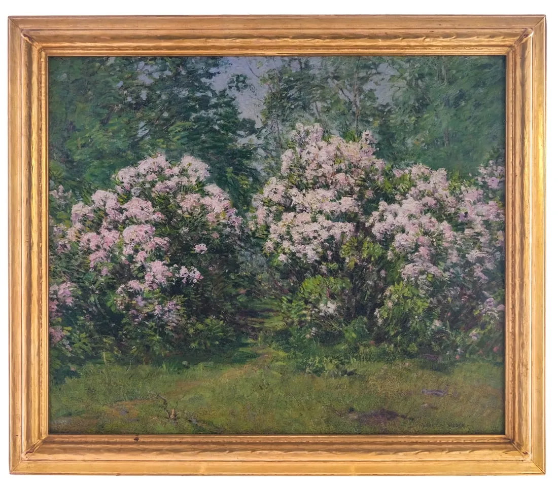 Robert H. Nisbet Mountain Laurel