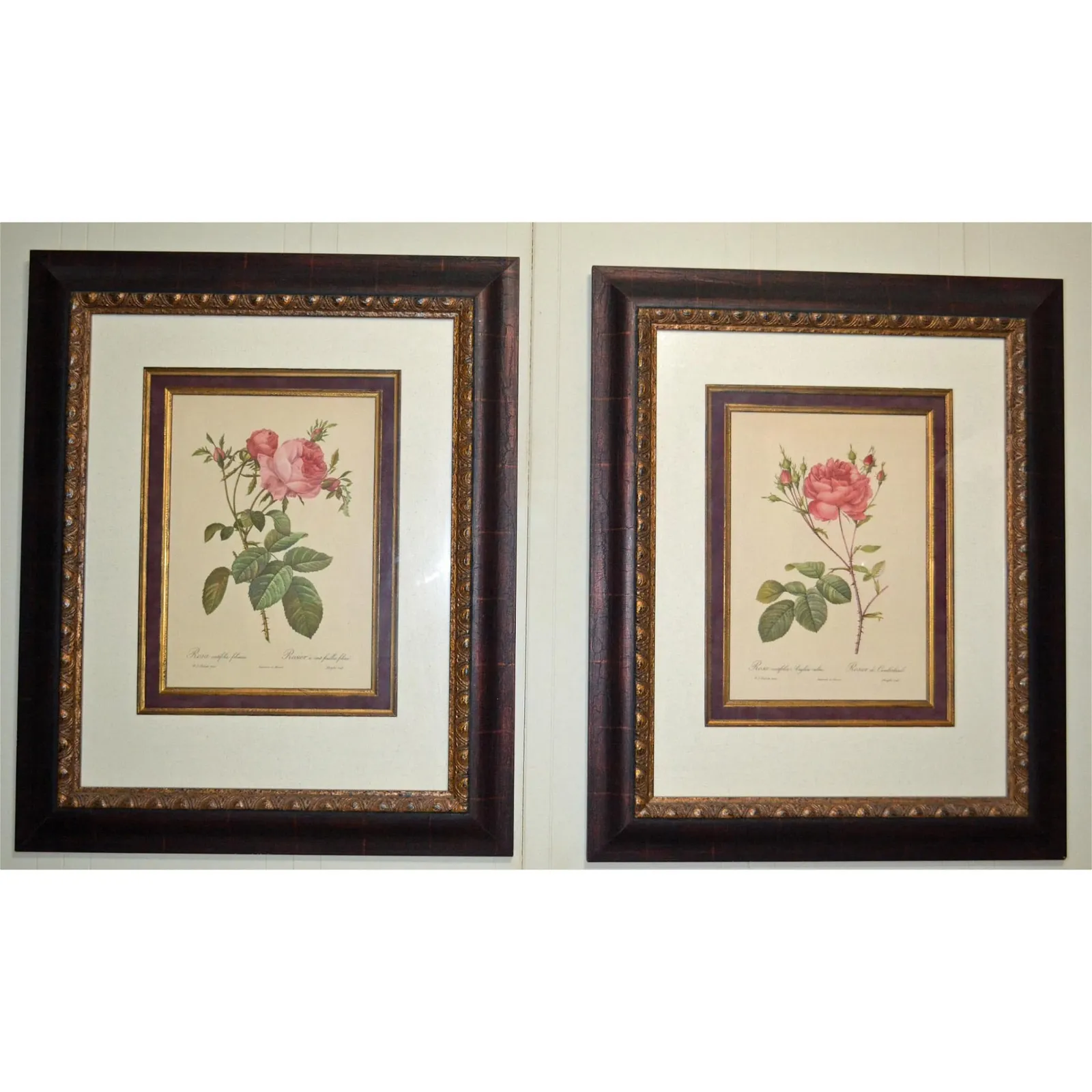 P.J. Redoute' Rosa Centifolia Anglica Rubra And Rosier De Cumberland Pink Floral Engravings, Pair