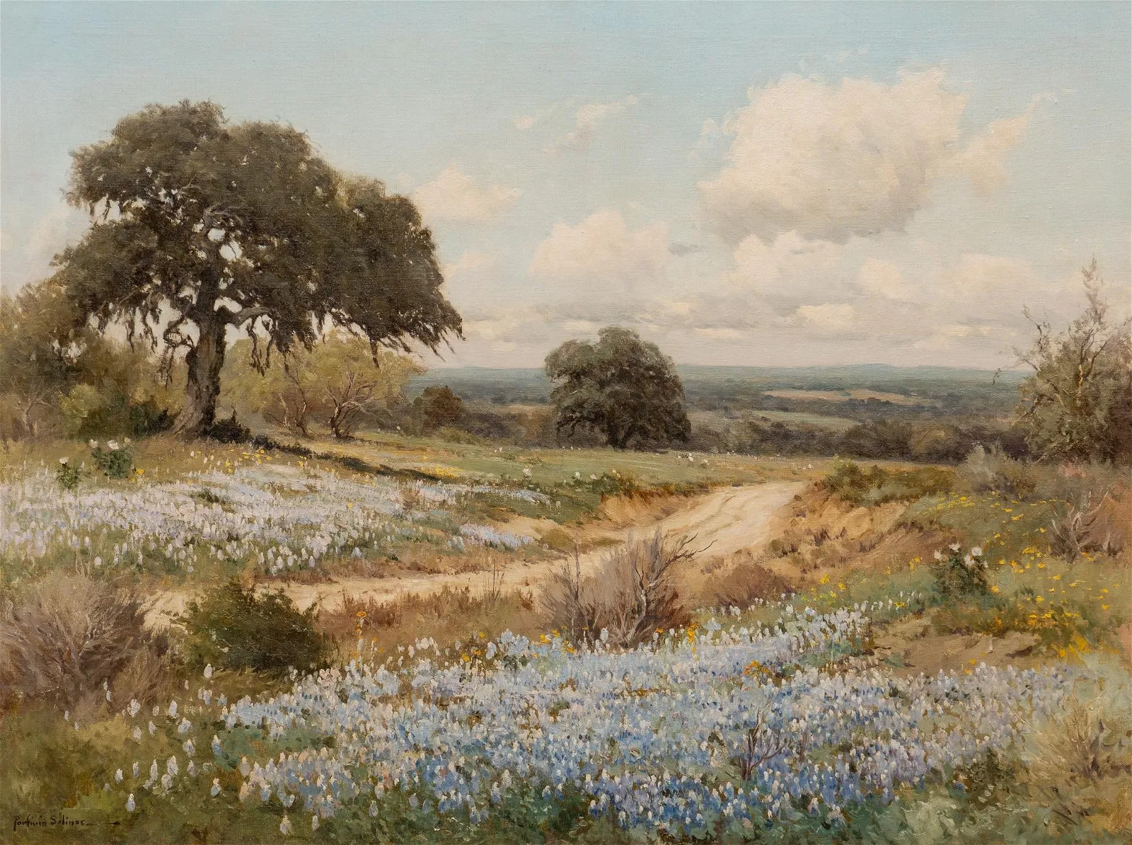 Porfirio Salinas, Bluebonnets in Midday Sun